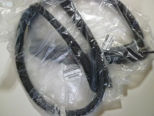 Genuine Nissan SKYLINE R34 GT-R Door Weather Strip 76860-AA105 / 76861-AA105 F/S