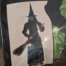 Wicked Witch Sz L Adult Costume  Karnival Costumes Wicked Wizard of Oz Alphaba