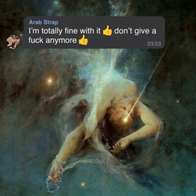 ARAB STRAP - I'M TOTALLY FINE WITH IT DON'T GIVE A FUCK ANYMORE   CD NEU