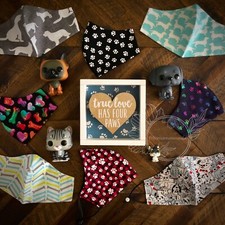 Animal Dog  Cat Themed Cotton Face Mask Filter Pocket Adjustable