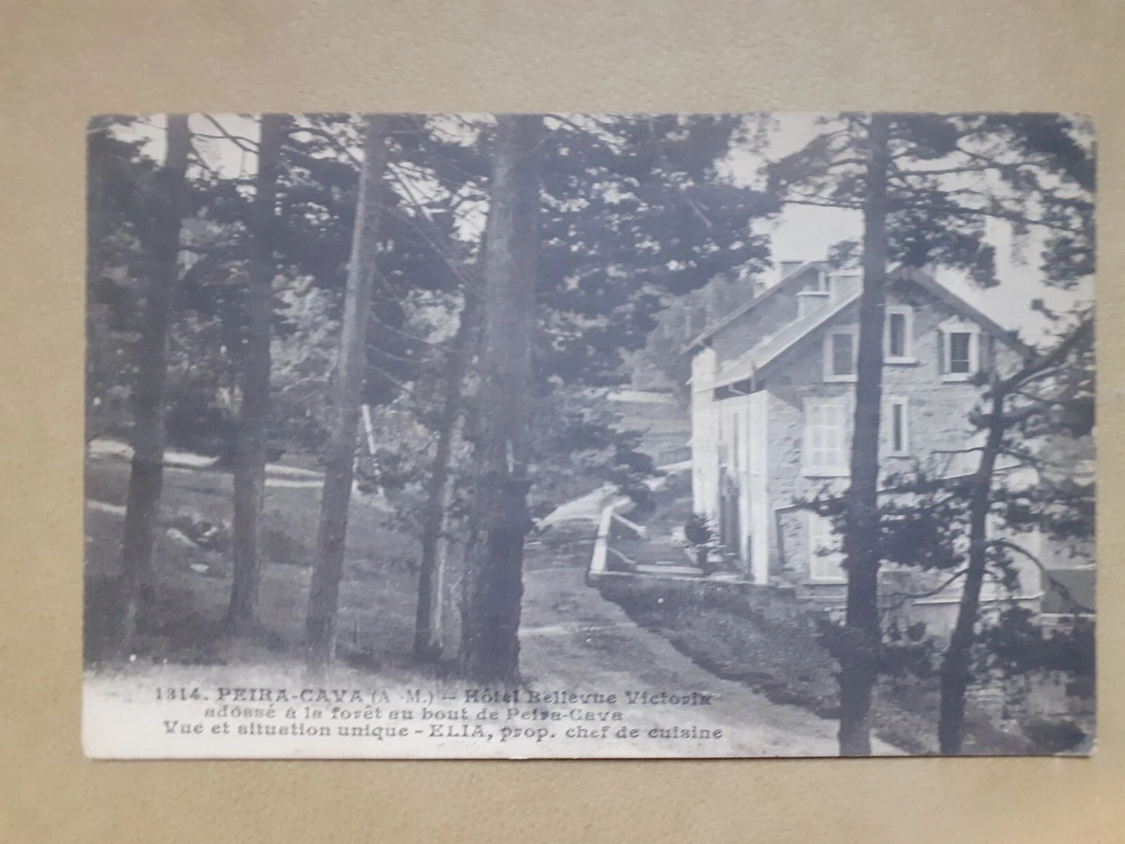Photo 1/2