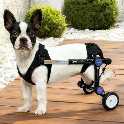 °Adjustable Dog Wheelchair for Back Legs Mobility Support Lightweight Pet...