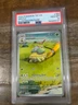 POKEMON  2024 Temporal Forces Illustration Rare GROTLE #164 PSA 10 Gem Mint RARE