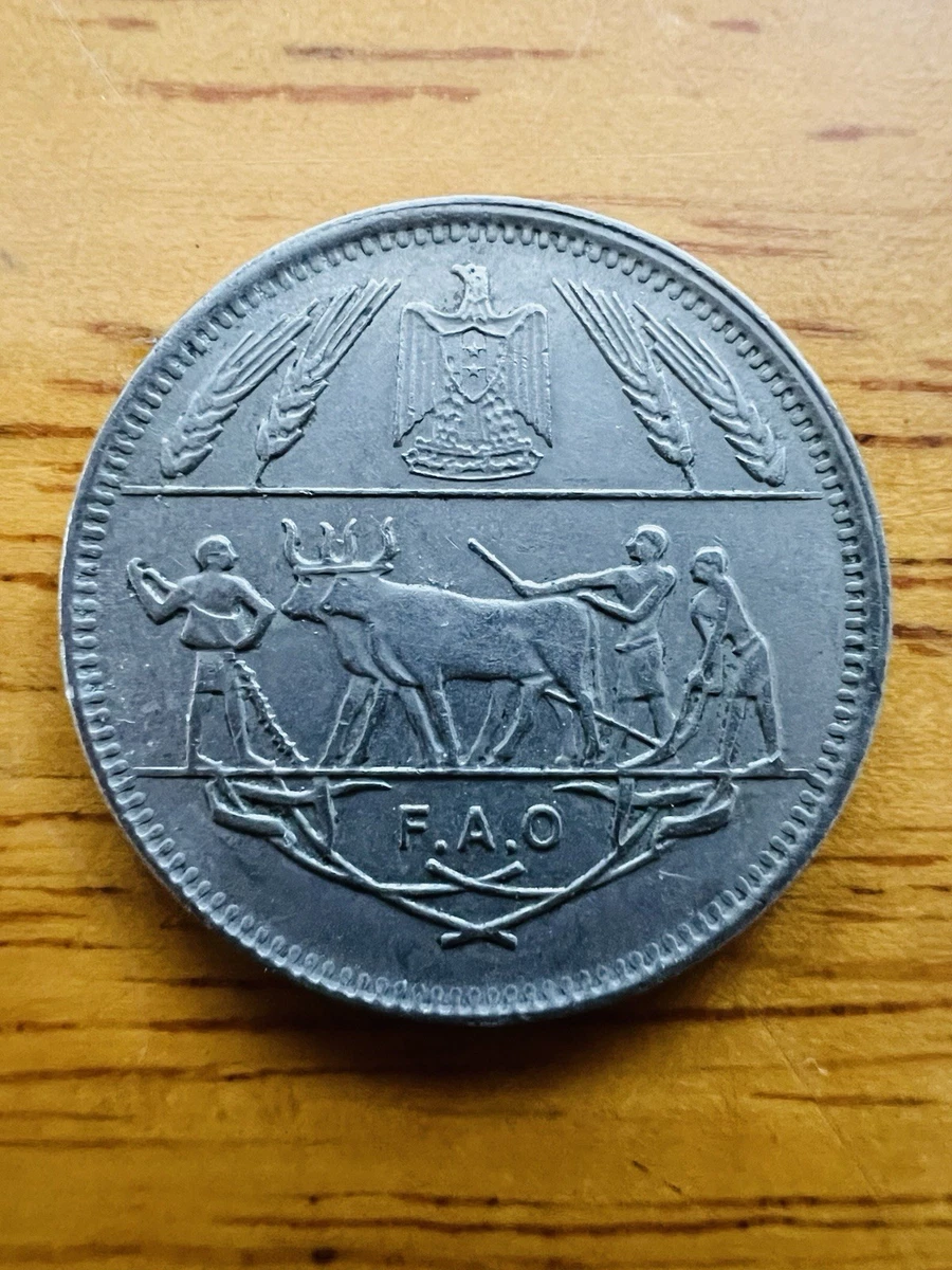 曾流通1970 埃及硬币| eBay