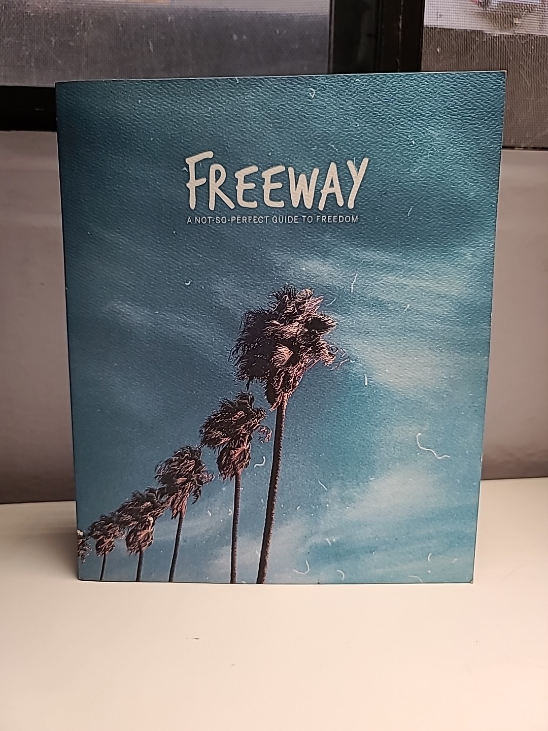 Freeway: A Not-So-Perfect Guide to Freedom by Mike Foster; Garry Poole