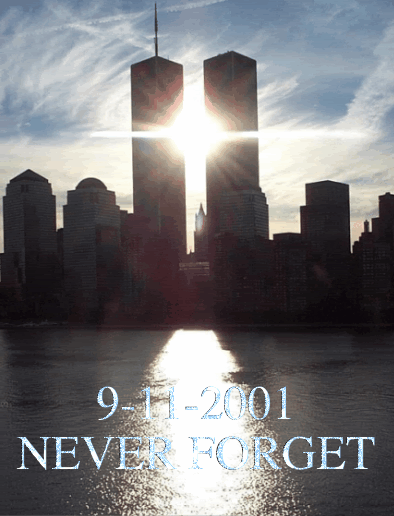 World Trade Center Lapel Pin WTC Pre - 9/11 2001 Original Mint on Card ...