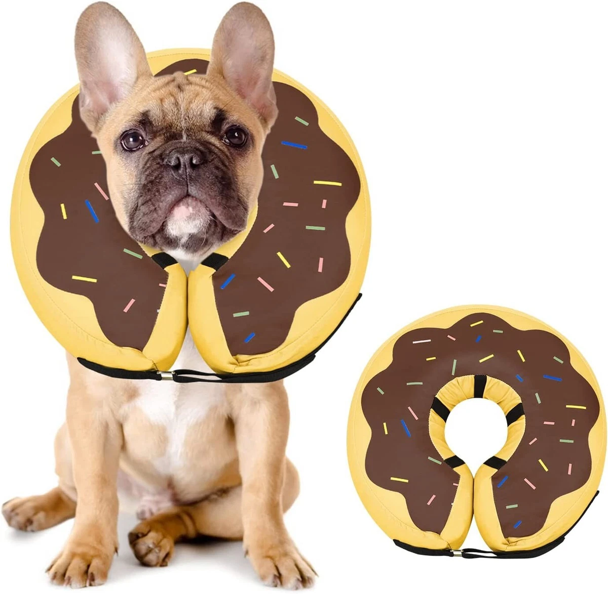 Donut collar for top dogs after surgery