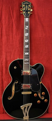 Washburn Model J9 Thinline Hollow Body Electric Guitar w/ Soft Case Exc, J-9