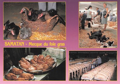 Postcard postcard 10x15cm SAMATAN GERS GASCONY Mecca of foie gras