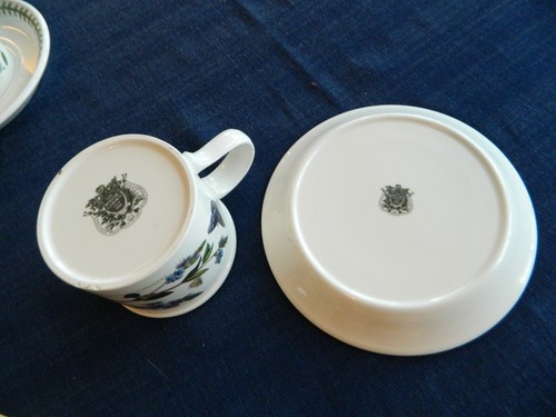 Portmeirion "The Botanic Garden" Teacup & Saucer 1972 England "Speedwell" 10-2 - 第 10/11 張圖片