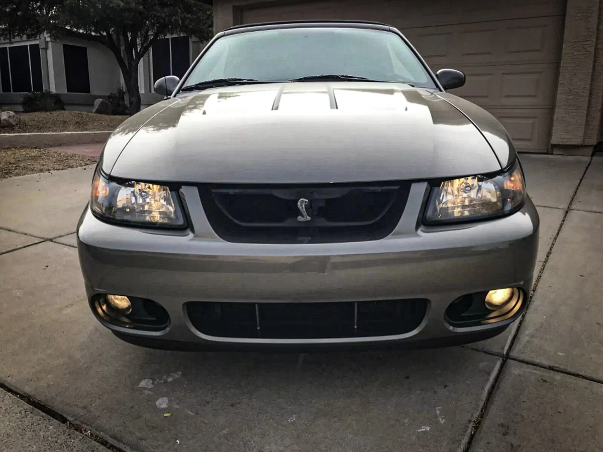 Click photo thumbnail to view