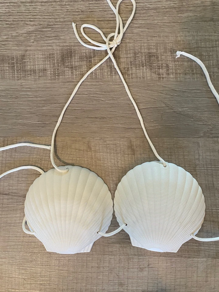 Falda estilo hawaiano Hula hierba y sujetador concha Top Disfraz Foto 2 de 3