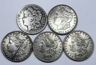 *LOT OF 5 MIXED DATE MORGAN SILVER DOLLARS* NR #C1769