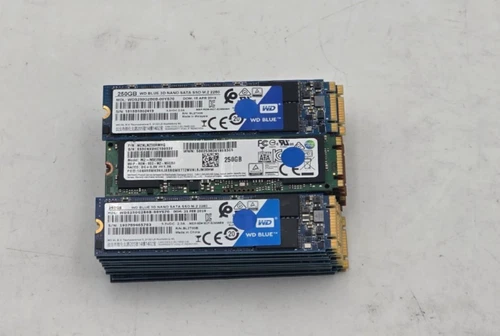 *LOT OF 30* Mixed Brand 250GB 2280 M.2 SATA SSDs