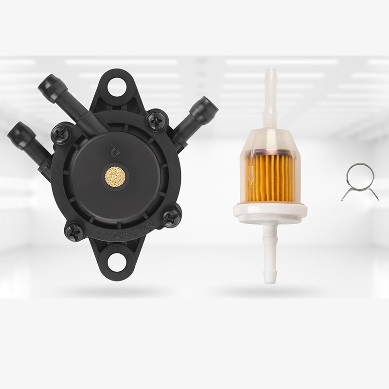 808656 491922 Kraftstoffpumpe mit Kraftstofffilter für BS 691034 