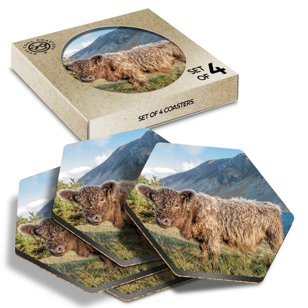 Cool coasters uk outlet