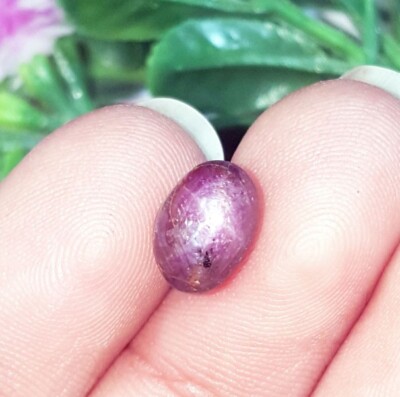 100% Natural Star Ruby 3.90 Ct Certified Loose Gemstone With Free Gift