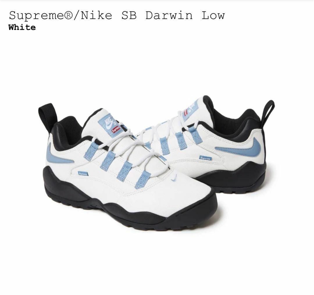 men's Size 6-13 Supreme Nike SB Darwin Low White FQ3000-100 men's Size 6-13 Supreme Nike SB Darwin Low White FQ3000-100