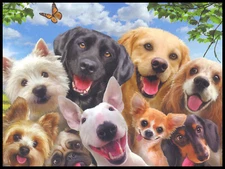 Greeting Card - Dog Puppy - Howard Robinson - Any Occasion - 0275