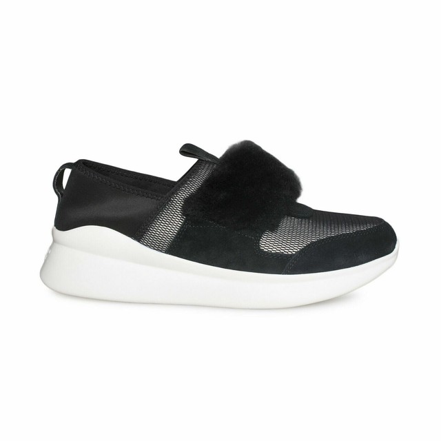 ugg pico sneaker