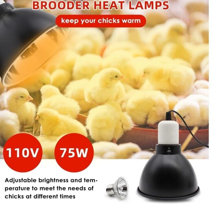 Gifank Chick Feeder & Water Kit Heater - Image 4 of 4