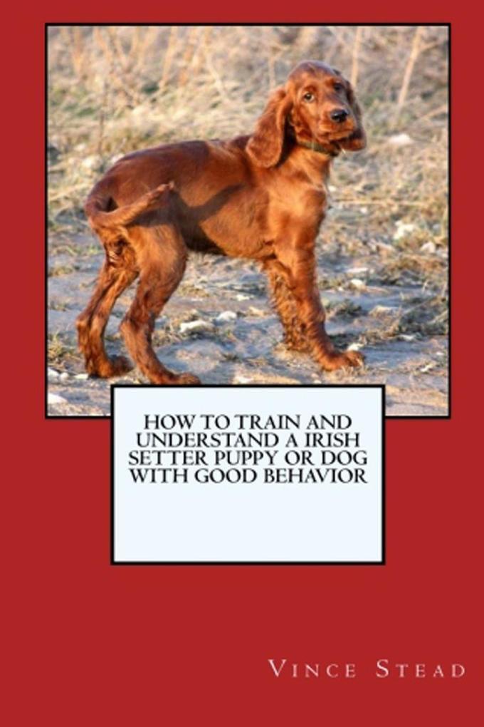Thumbnail - How To Train And Raise A Irish Setter Puppy Or Dog With Good Behavior