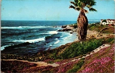 Along The Shore La Jolla California CA c1962 Postcard