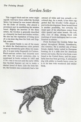 The Gordon Setter - CUSTOM MATTED - Vintage Dog Art Print - ''G''