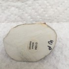 WEE FOREST FOLK  CAMPFIRE MOUSE 1984 WITH BOX — photo 3