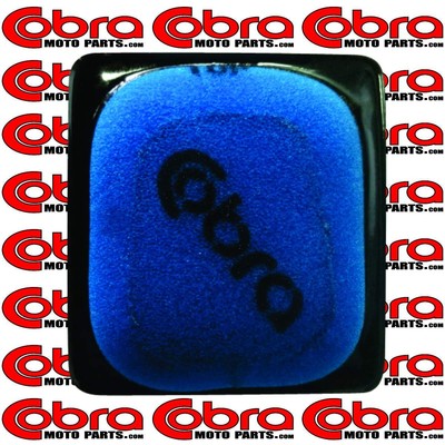 Cobra CX50 Parts Air Filter  |  Cobra CX50 KING FWE  |  RCCS0016