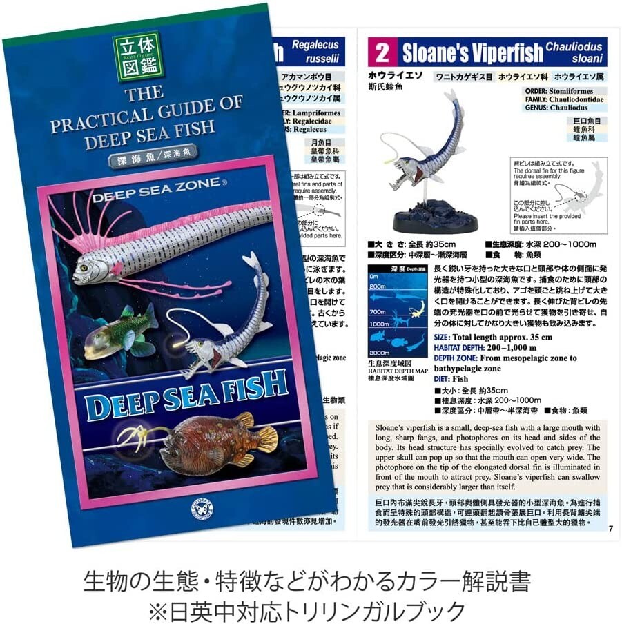COLORATA Deep Sea Fish Figure Set (7 Types/Box Included/Commentary