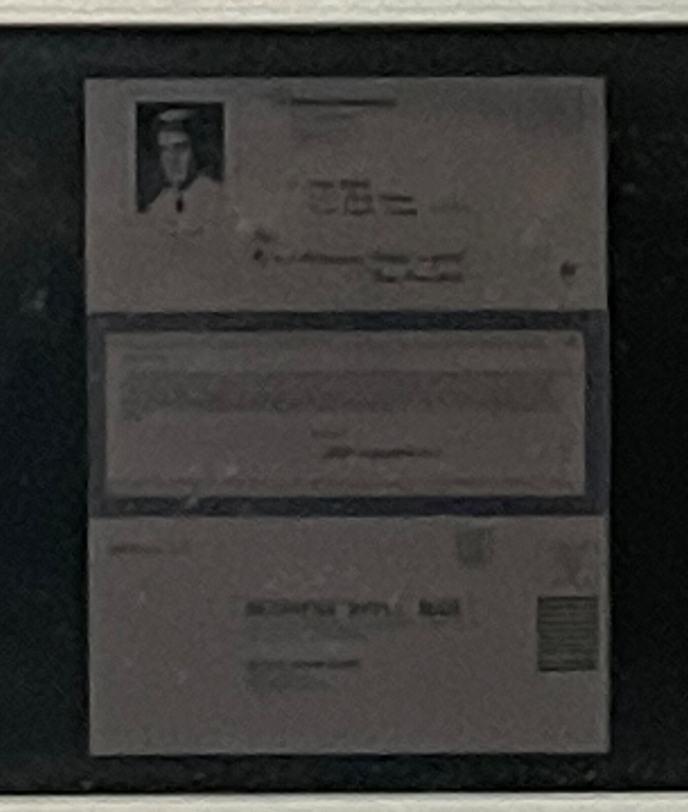 Picture 6 of 19