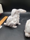 Picture 11 of 22