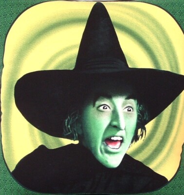 Wizard Of Oz- Wicked Witch Of The West, Head & Shoulder