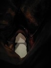 Bild 12 von 12