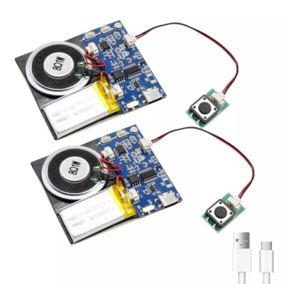 16-Minute USB Sound Recording Modules (2) | Rechargeable | Easy Install