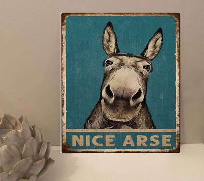 Esel schön A**e Toilette lustig rustikal Retro Metall Neuheit Plakette Schild Geschenk mt865