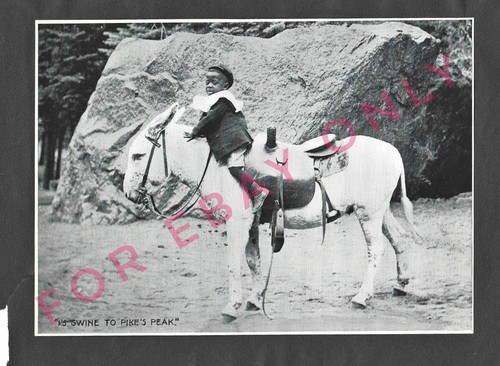 Vintage 1910 Souvenir Photo of Africans American Black Little Boy Riding ESEL