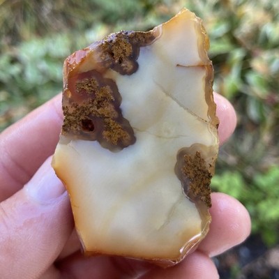 Affordable White Plume Agate Rough 2.74 Oz