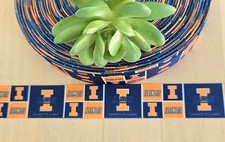 7/8" 1 YD University of Illinois Grosgrain Ribbon Collegiate Logo Ribbon