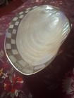 Óystèr.  Shell.     Dish — photo 9
