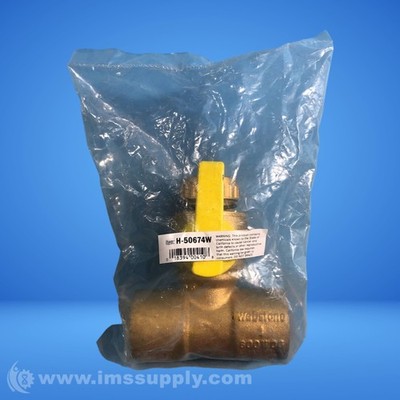 Webstone H-50674W 1'' T-Drain Valve FNFP