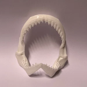 10” Fake Bull SHARK JAW Fish Tank Decor Non Toxic Non Floating For Fish Tank 10”