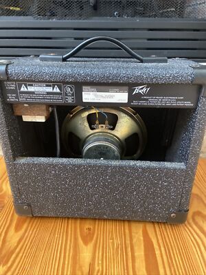 Peavey Rage 158 Guitar Amp, Teal Stripe | eBay