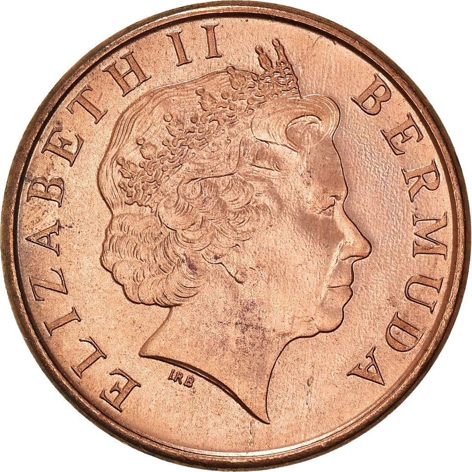 Bermudian 1 Cent Coin | Queen Elizabeth II | Wild Boar | Bermuda | 1999 - 2008 - Image 2 of 4