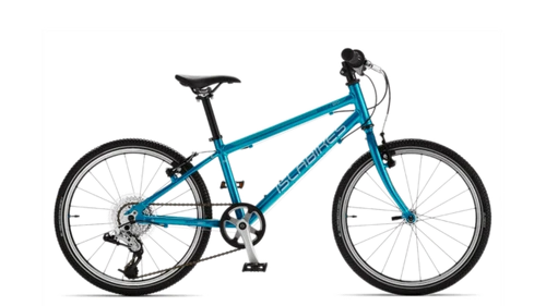 20 Inch Bikes for Kids