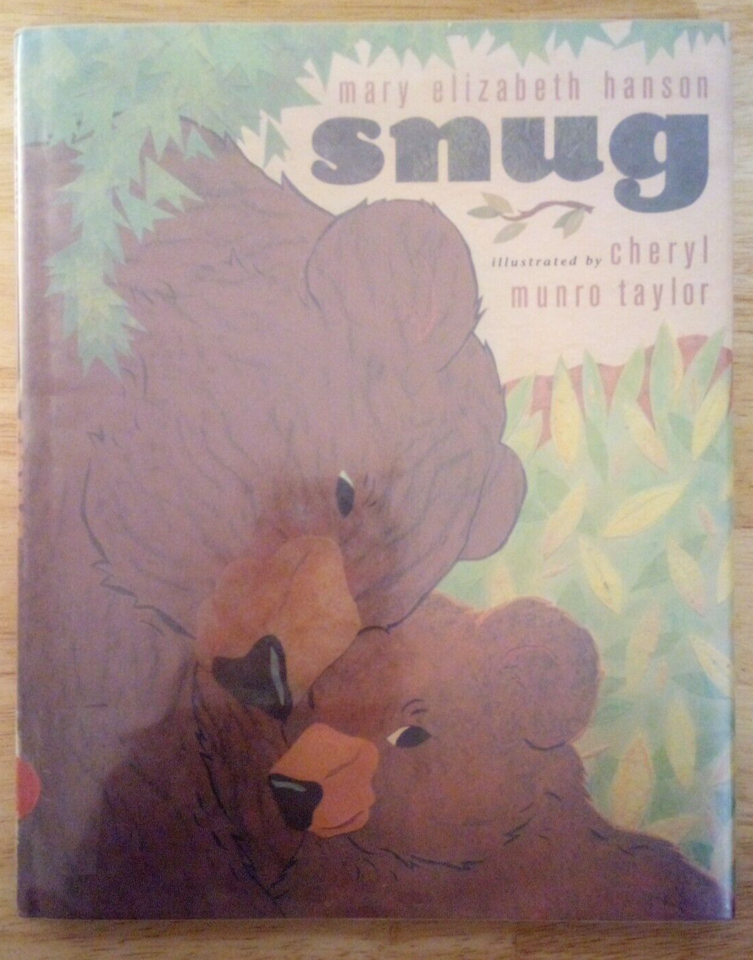 Snug by Mary Elizabeth Hanson HC DJ 1st edition 1st printing