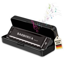 Harmonica Harmonica Diatonic Harmonica inc Protective Case Music Learning