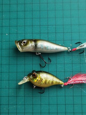Megabass - メガバス POPX・GRIFFON (sp-c) Megabass PopX Griffon opened | eBay
