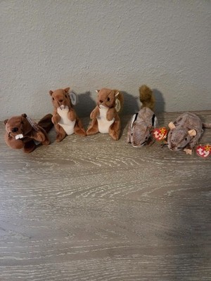 Set of 5 - TY Beanie Babies: Chipper, Nuts(X2), Bucky, Tip Toe NEW & Retired